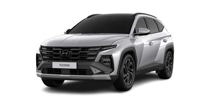 현대 더 뉴 투싼